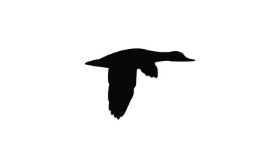 Flying Black Duck Bird Silhouette Design  And Vector Illustration. 
