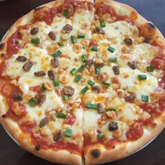 pizza with salami and cheese