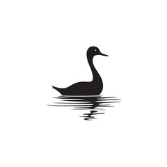 white duck on white background