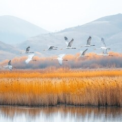 Fototapeta premium Flock of Birds Flying Over Autumn Wetlands with Mountains in Background at Sunset