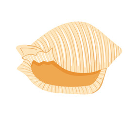 Striped seashell icon on white background. Vector illustration