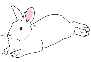 休んでいる白うさぎのイラスト