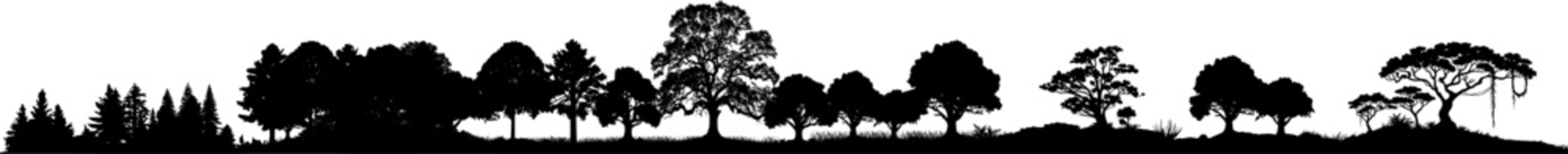 Vektor Panorama Silhouette Natur - Landschaft mit B&auml;umen und verschiedenen Baumarten - Wald mit Vegetation