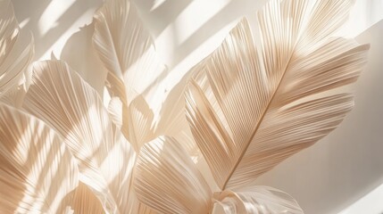 Tropical leaf in soft focus with morning light creating a serene Scandinavian style interior atmosphere
