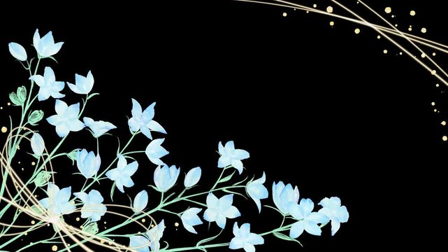 金色のリボンを結んだ青いスプレーデルフィニウムの花束の&alpha;付きループアニメーション。誕生日、結婚式等のお祝い向けに。