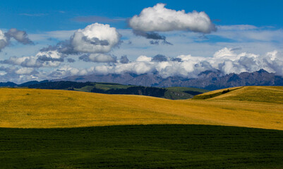 Fototapeta premium Beautiful autumn fields in Xinjiang in China.