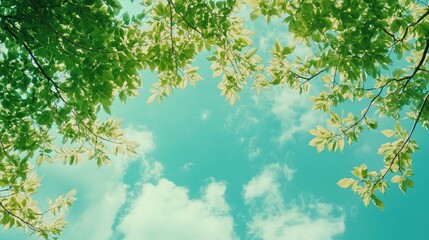 Fototapeta premium Lush green leaves framing a bright blue sky with fluffy clouds creating a serene nature backdrop in a tranquil outdoor setting