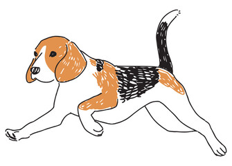 走っているビーグルのイラスト