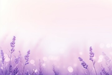 Fototapeta premium Herat bokeh lavender backgrounds outdoors.