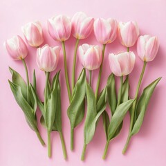 Obraz premium Elegant Pink Tulips on Soft Pink Background Delightful Spring Floral Arrangement