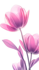Obraz premium Pink tulips in cartoon style illustration
