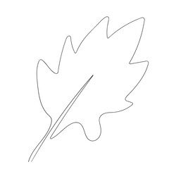 Floral silhouette art line. Flowers in continuous line drawing style. Border with tropical flower. Minimalist black linear sketch. Trendy vector illustration isolated. Contour graphics for design.