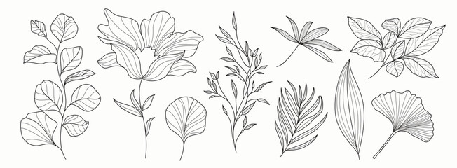 Flowers floral outline drawing clipart set. Spring flower and leaves in hand drawn, lines, pattern, sketch and flat graphic elements clip art collection. Vector illustration botanical flora and leaf 