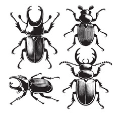 Set of 4 Monochrome Vector Silhouettes of the Prionus Beetle Isolated on a White Background
