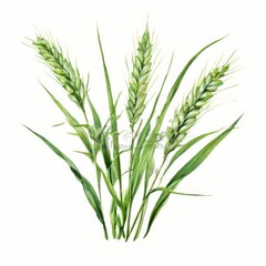Fototapeta premium the AI Image Generator, Watercolor Illustration of Green Wheat Stalks
