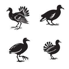 Monochrome Vector Silhouettes of the Purple Gallinule Isolated on a White Background