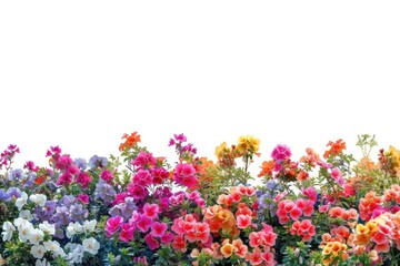 Obraz premium Colorful floral border illustration