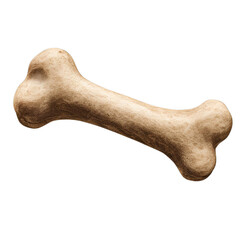 bone of dog