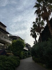 Obraz premium trees with building, luxury hotel at the beach