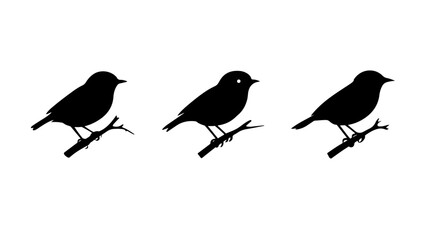 Fototapeta premium illustration of a tiny bird in silhouette Vector