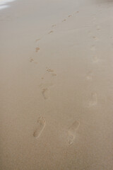 Meandering Footprints in the Sand at Praia da Adraga