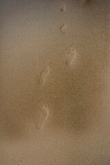 Barefoot Footprints in the Sand at Praia da Adraga