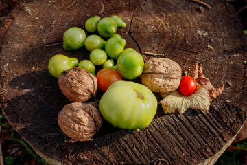 Green and red tomatoes with nuts on a wooden surface