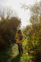 A casual walk in the forest with a yellow jacket, woman from the back
