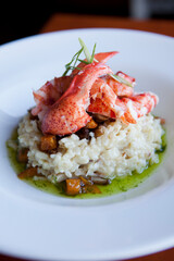 A gourmet lobster risotto sits in elegant white dish at restaura