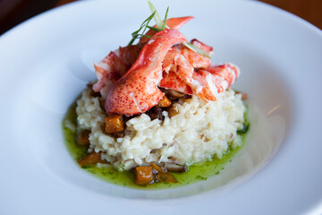 A gourmet lobster risotto sits in elegant white dish at restaura