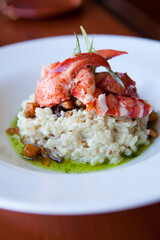 A gourmet lobster risotto sits in elegant white dish at restaura