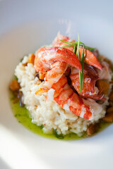A gourmet lobster risotto sits in elegant white dish.