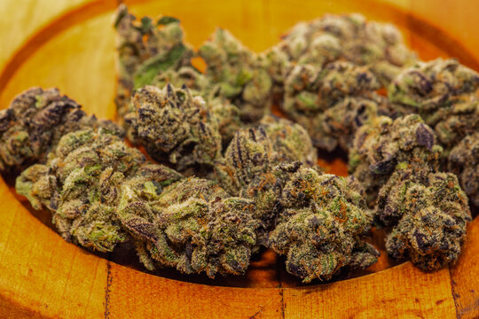 AAA INDOOR TUNNEL GROWN CANNABIS