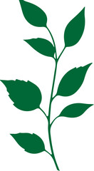 green leaves isolated on white