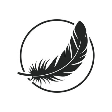 Fototapeta feather silhouette vector, feather logo Design, icon