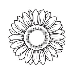 Vintage Sunflower vector, sunflower outline vector art illustration
