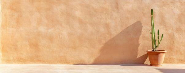 warm toned adobe wall with cactus casting long shadow