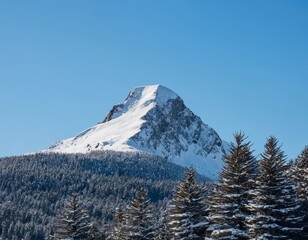 Majestic Winter Mountain Peak with Snow-Covered Coniferous Forest