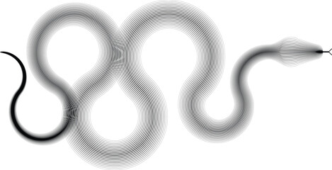 Snake logo. Chinese new year 2025 zodiac snake symbol .design elements .Abstract flow linear fluid shapes .Curved lines pattern . Vector illustration

