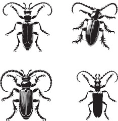 Vector Silhouettes of the Soldier Beetle Isolated on a White Background