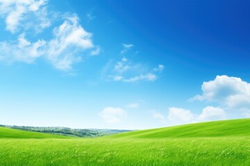 Spring landscape background grass green sky.