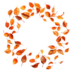 Autumn Leaves Circle; Isolated Orange Leaves on White Background