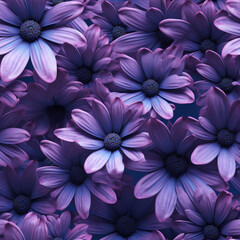 Fototapeta premium A close up view of beautiful purple flowers creates a stunning background, showcasing the intricate details and vibrant colors of beautiful purple flowers 