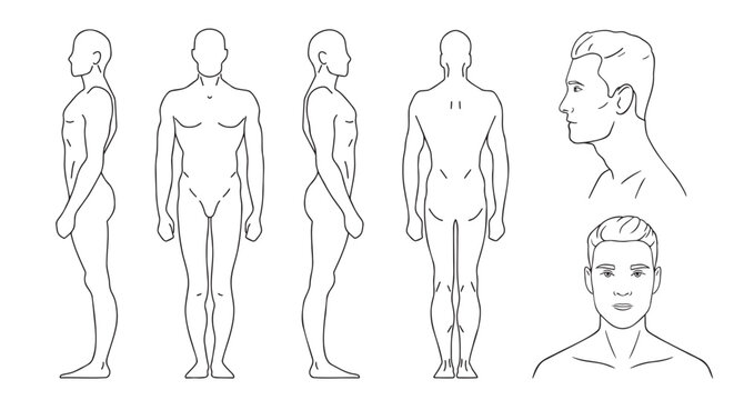 human silhouette man outline template. vector line figure of a person in front, back, side. 