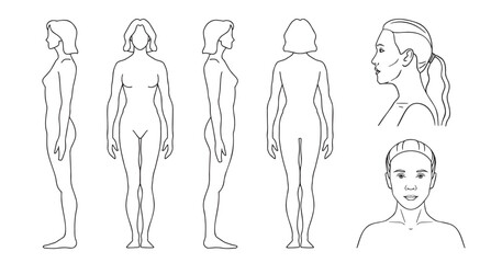 human silhouette woman outline template. vector line figure of a person in front, back, side. 