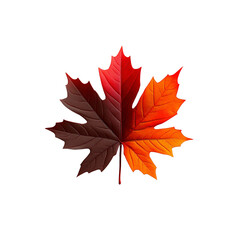 Dual-toned Autumn Maple Leaf A Symbol of Change and Transition