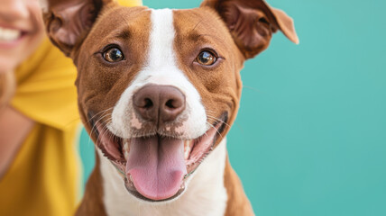 Happy dog with joyful expression, showcasing its playful nature, World spay day concept