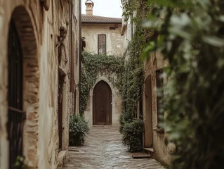Narrow alleyway in an old European town, with stone buildings, overgrown with plants and a dark wooden door.