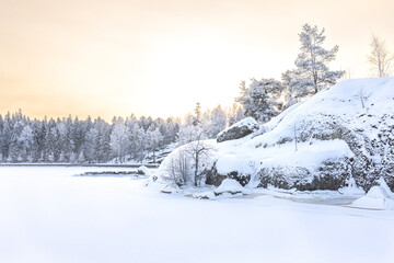 A forest covered with snow, winter landscape in the forest, snow-covered frozen trees, Russian winter, sunny winter day in the countryside