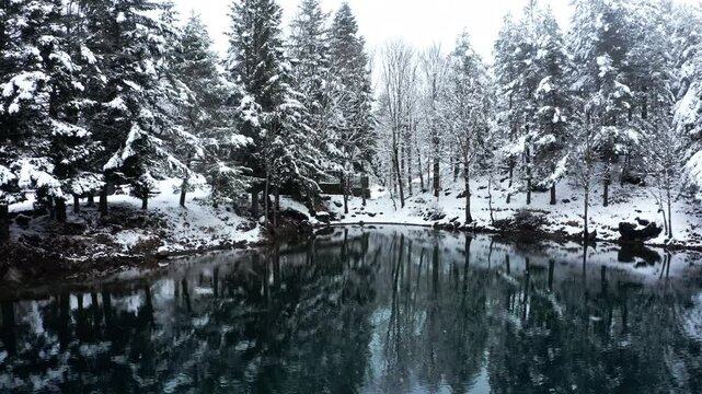 A serene snow-covered forest reflected on a still lake evokes calmness and solitude